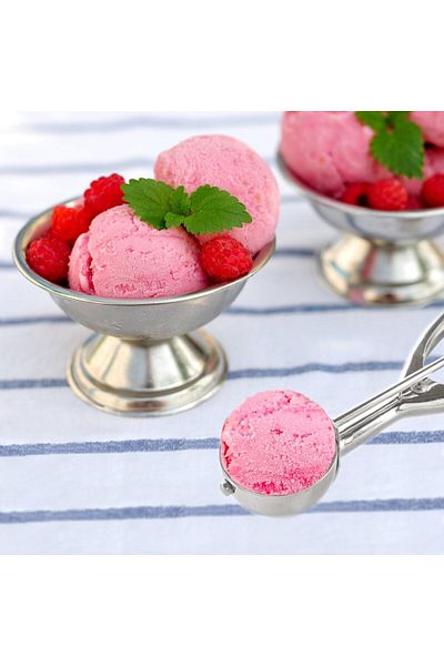 Generic stainless steel ice cream scoop