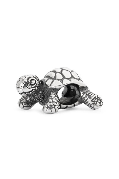 Afrika Kaplumbağası Charm