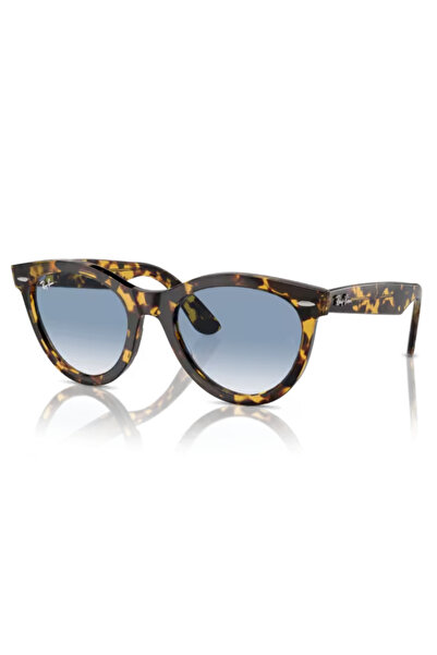 Ray-Ban RB 2241 WAYFARER WAY 1332/3F 51