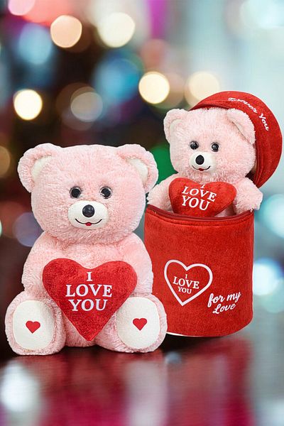 Canestar Special Plush Teddy Bear for Lovers with Special Surprise Bag - Special Gift Teddy Bear with Bag