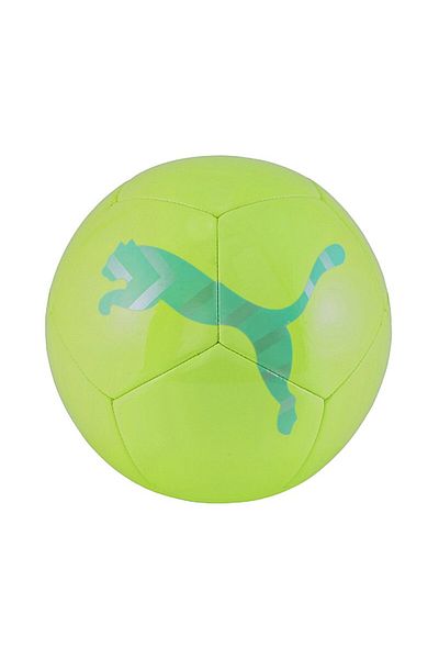 Puma Puma Icon Ball Size 5