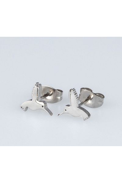 Piercing Market Steel & Silver 1 Pair of No Fade, Tarnish & Gift Earrings with Steel Studs