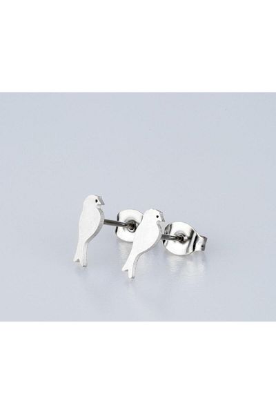 Piercing Market Steel & Silver 1 Pair of No Fade, Tarnish & Gift Earrings with Steel Studs