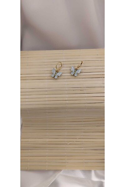 Anziano bijuteri Women's Gray Color Earrings Dangle Earrings Elegant Looking Earrings Butterfly Earrings