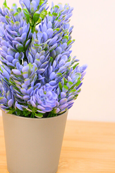 Digithome Dekoratif Küçük Saksılı Yapay Lavanta Çiçeği Lila 18cm EVA-5824 C1-1-423