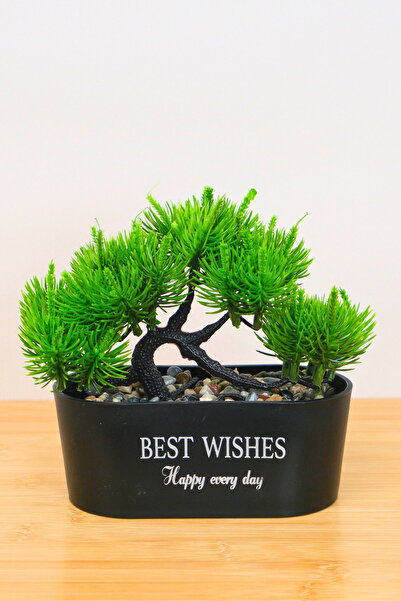 Digithome Dekoratif Kayık Saksılı Yapay Çam Ağacı Bonsai Siyah 16cm EVA-5829 C1-1-423