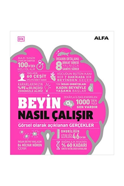 Alfa Yayınları Beyin Nasıl Çalışır (CİLTLİ)