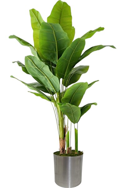 ERHAN FLOWERS ÇİÇEK & DEKORASYON Yapay muz ağaçı17 dal beyaz plastık saksı