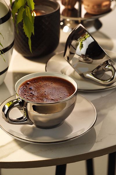 Kütahya Porselen 4 Piece Stella Double Coffee Set for 2 Persons Platinum Plated