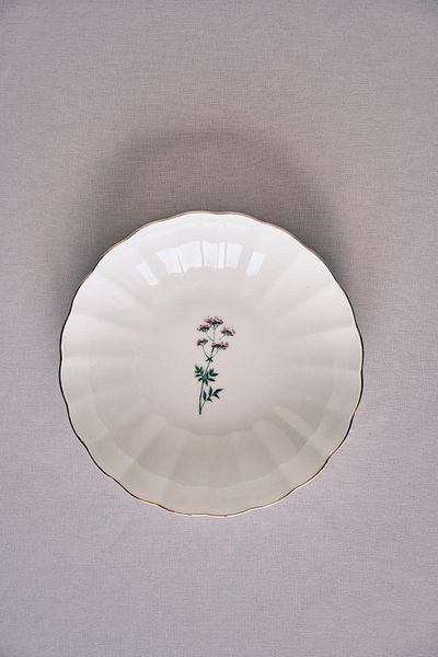 Kütahya Porselen Tiny Miny 25 cm Salad Bowl