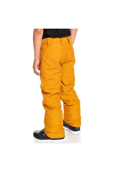Quiksilver Estate 8-16 Years Old Children's Ski/Snowboard Pants-Eqbtp03033