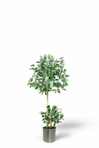 ERHAN FLOWERS ÇİÇEK & DEKORASYON 150 cm ficus yapay ağaç bambu 2 gövdeli meta...
