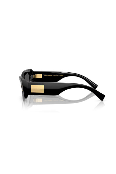Dolce&Gabbana Dolce-Gabbana Dg 4479 501/87 55-20-140 Unisex Sunglasses