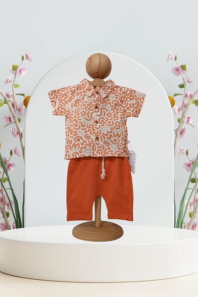 Baby s Breath Flower Colorful Patterned Shirt Shorts 2 Piece Set 6-12-18-24 Months 2-Piece Baby Boy Outfits