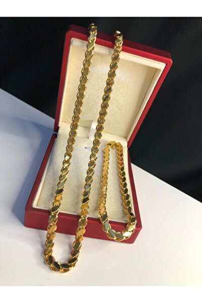 vogutima Kadın Çelik Set - Arpa • Pul • Halep • Kayısı Renk Altın Kaplama Sevgiliye • Kolye Bileklik Set