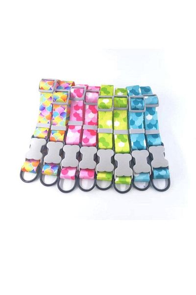 Glipet Bubble Neck Collar Rainbow m 2.0 cm