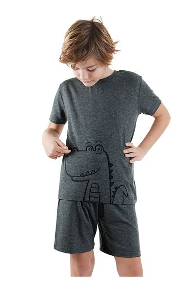 Denokids Dinosaur Boy Gray Bottom Top Pajama Set