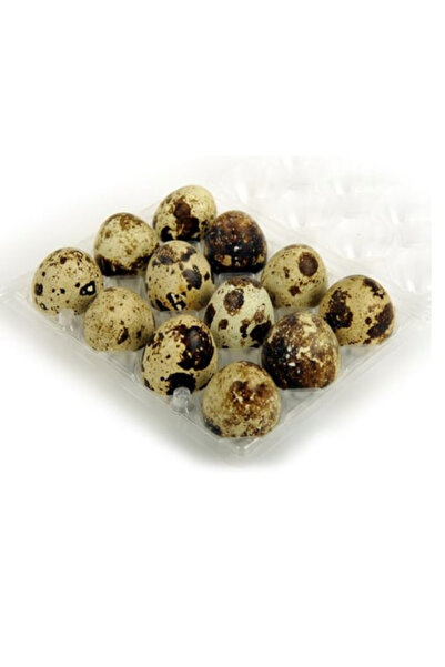 almancidan 36 Adet Bıldırcın Yumurtası Yemelik Veya Kuluckalik Japon Taze Köy...