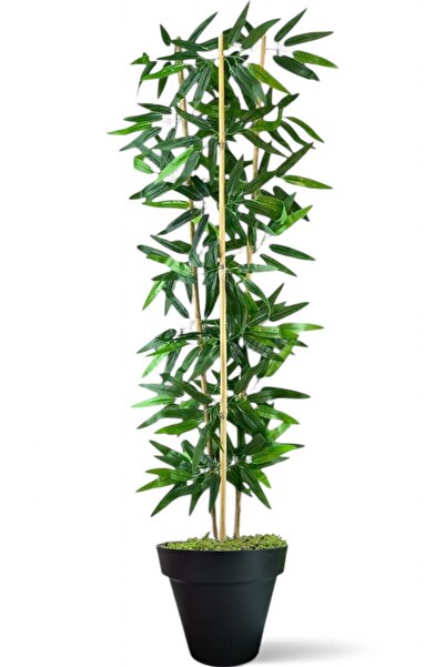 ERHAN FLOWERS ÇİÇEK & DEKORASYON Dekoratif Yapay Yapraklı 3 Gövde Bambu Ağacı 120 cm   Bambu siyah  plastık saksı