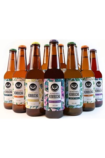 FERMENTEANA Kombucha (12)'li Paket Karışık (330) Ml