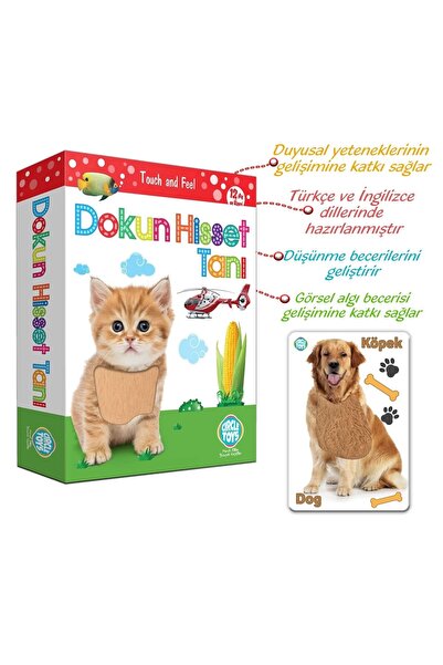 Svein 36 Parça Dokun Hisset Tanı Duyusal Zeka Kartları Eğitici Doğa Hayvan Eş...