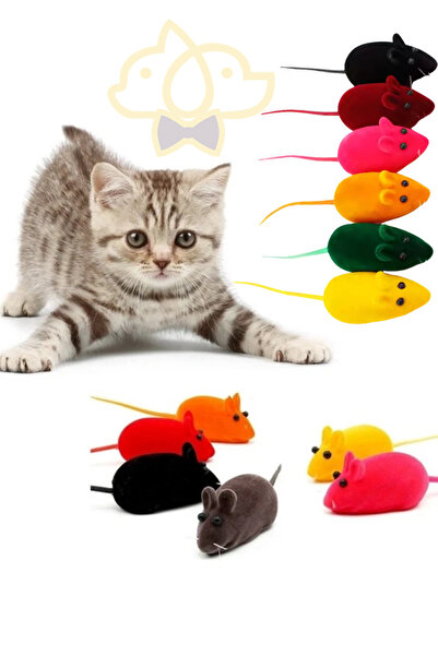 PapyonPet 10 Adet Ses Çıkaran Renkli Öten Fare Kedi Oyuncak Seti Dayanıklı ve Eğlenceli Kedi Oyuncağı