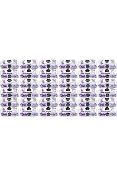 Papilion Wet Towel Wipes 100 Sheets Lavender (Set of 36) 3600 Sheets
