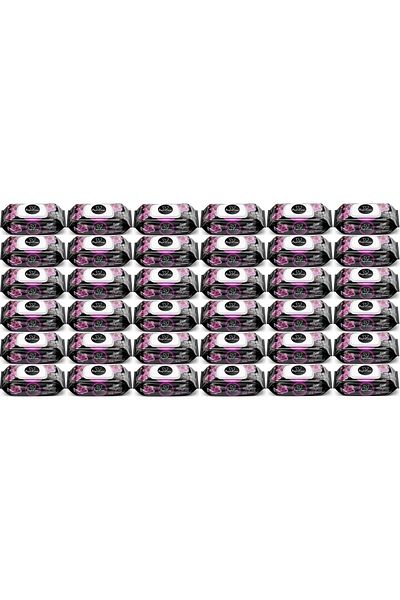 Papilion Wet Towel Wipes 100 Sheets Aroma Therapy (Set of 36) 3600 Sheets