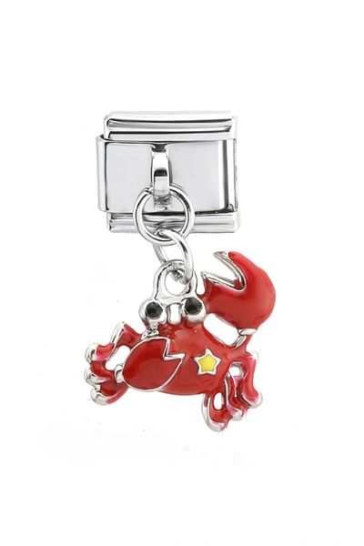 RoseCo00 Cancer Zodiac Italian Bracelet Charm