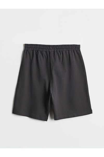 LC Waikiki Lcw Eco Anthracite Standard Mold Men's Shorts