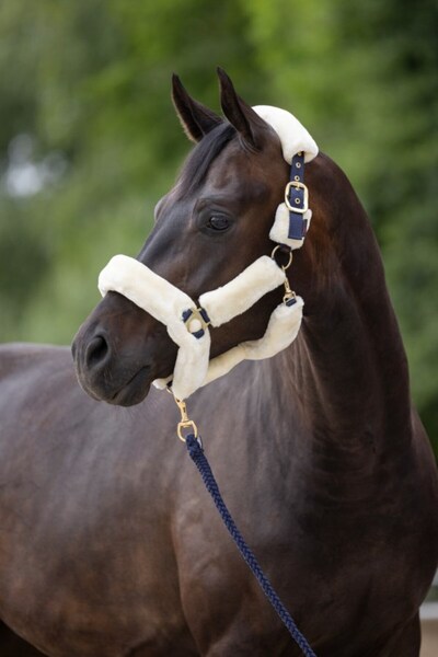 cavalliero Yular, Pelüşlü Full