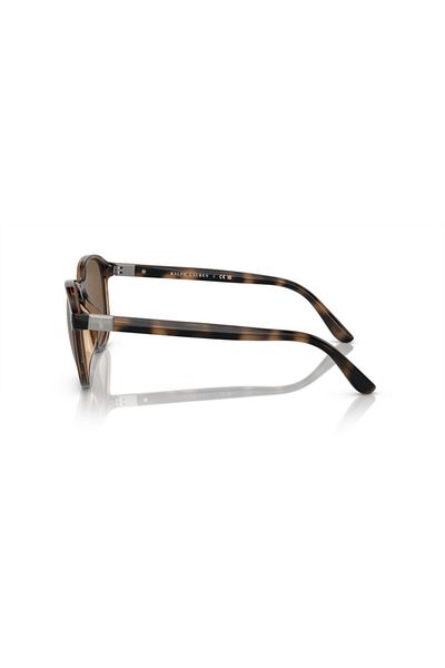 Polo Man Phantos Sunglasses- Ph 4207u - Lense Size:54mm - Shiny Havana