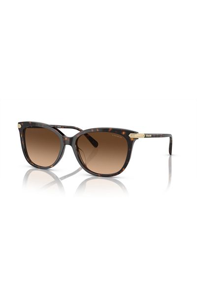 Coach Woman Cat Eye Sunglasses- Hc 8378u - Lense Size:57mm - Dark Tortoise