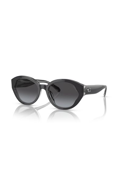 Coach Woman Oval Sunglasses- Hc 8364u - Lense Size:55mm - Black / Transparent Grey