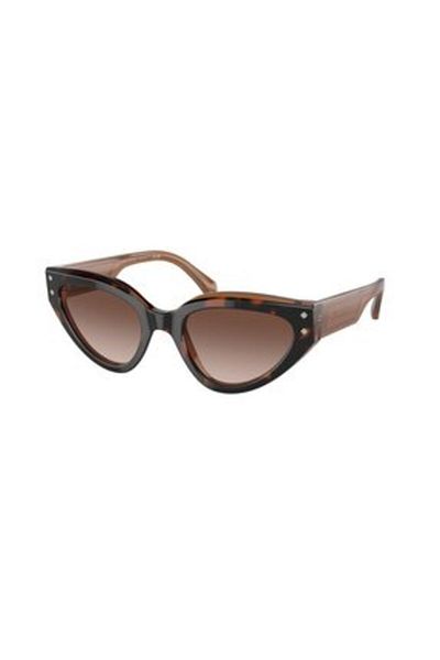 Bvlgari Woman Cat Eye Sunglasses- Bv 8256 - Lense Size:53mm - Havana On Transparent Brown