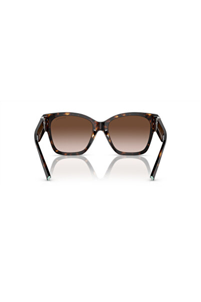 Tiffany Woman Square Sunglasses- Tf 4216 - Lense Size:54mm - Havana