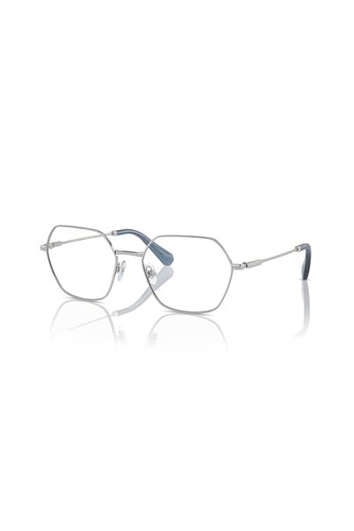 Swarovski Woman Irregular Eyeglasses- Sk 1011 - Lense Size:53mm - Silver