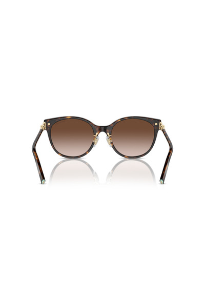 Tiffany Woman Cat Eye Sunglasses- Tf 4223d - Lense Size:54mm - Havana