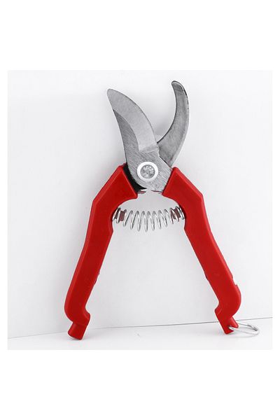 Badem10 Ψαλίδι κήπου 18 cm - Κοπή δέντρων και τριαντάφυλλων, Türkü Filti Bilimi