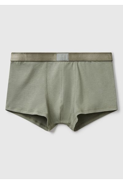 United Colors of Benetton Men's Pale Green Cotton Blend Waistband Logo Printed Boxer