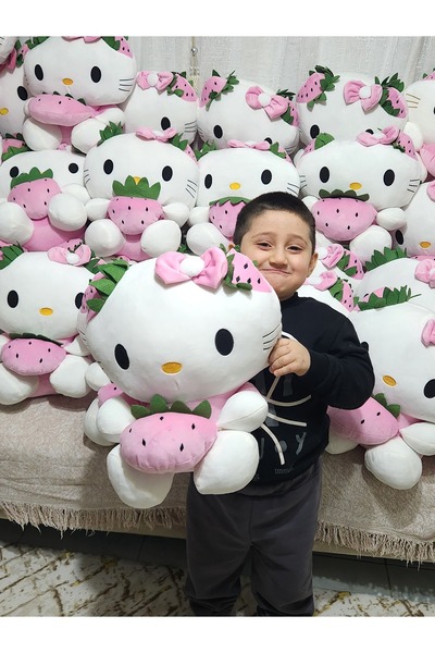 Ailenizin Oyuncakçısı Hello Kitty Peluş Büyük Boy 50 Cm Pembe Renk Gönderim Yapılıyor