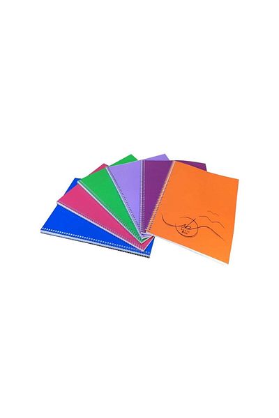 Andofis Basic School Notebook A4 96 Sheets Checkered 6'Li Spiral Plastic Cover