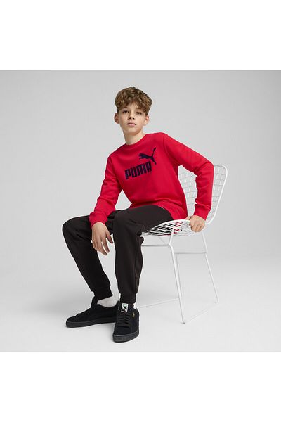 Puma Essentials No. 1 Logo Crew Sweat Suit Youth