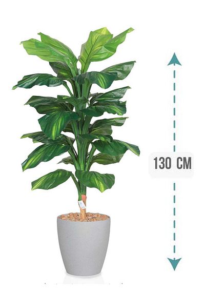 Generic Small green tree in a cylindrical plastic container