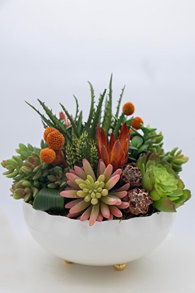 Green Eye SUKULENT YAPAY ÇİÇEKLİ VAZO BEYAZ 24 CM