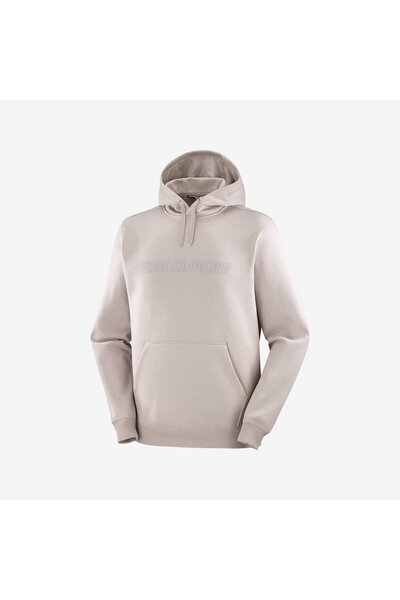 Salomon BIG LOGO Erkek Sweatshirt ETHEREA LC2525500