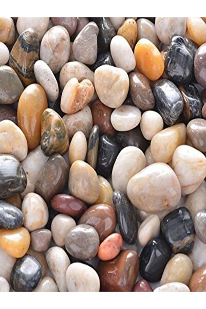 ODN Renga renk dolomit Dekoratif Dere Deniz Çakıl Taşı Akvaryum Teraryum amaçlı katalok çekimi 2 kg.