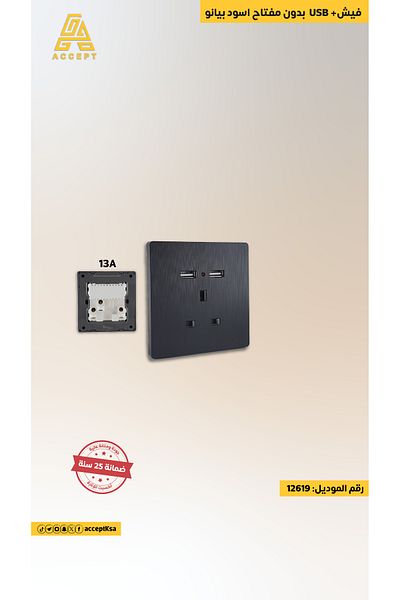 Generic فيش 13 أمبير + USB