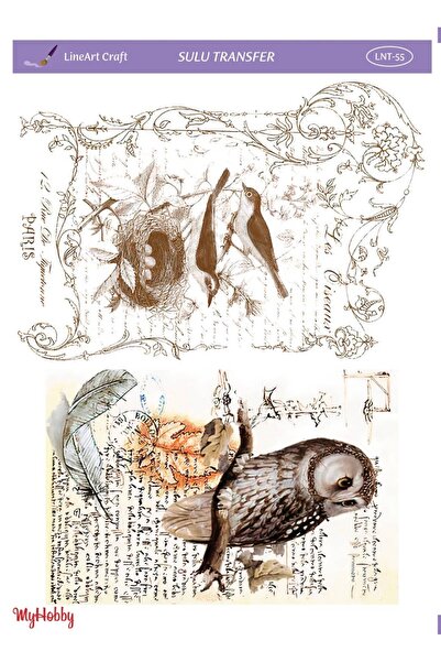 LİNEART Lineart Sulu Transfer No:LNT55 25x35cm