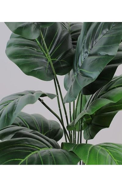 Cady One An artificial and decorative Alocasia platyphylla tree with a golden pot